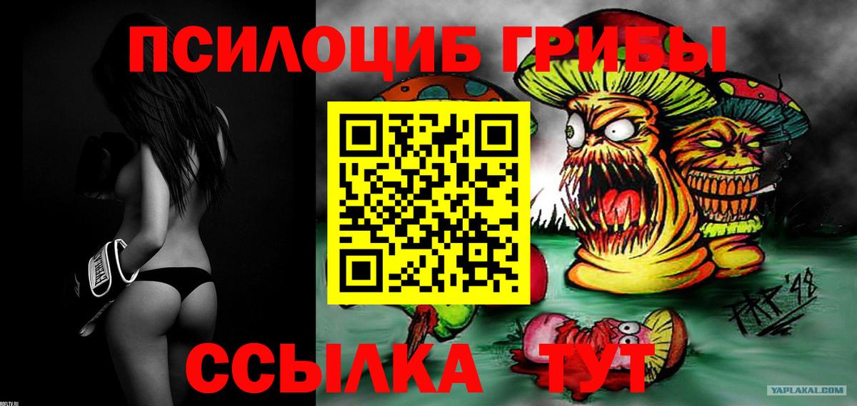 Псилоцибиновые грибы мухоморы Усолье-Сибирское