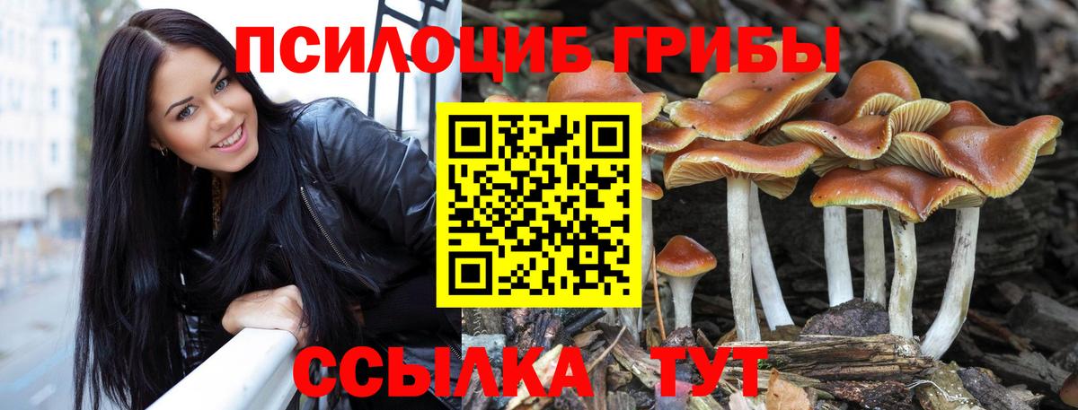 Усолье-Сибирское  Галлюциногенные грибы мицелий  Псилоцибиновые грибы Magic Shrooms  Вход с VPN 